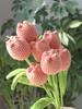 6Pcs Handmade Crochet Tulip, Knitted Tulip Flowers, Artificial Woven Flowers Best For Teacher's Day, Graduation Gift Home Decor