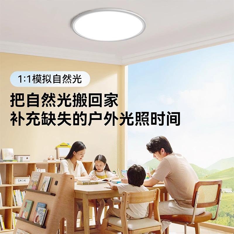 Sitanku Full Spectrum Eye Protection Ceiling Light