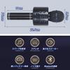 JSS EVN Karaoke Microphone System Handheld USB Rechargeable Portable Speaker Silver with English Manual
