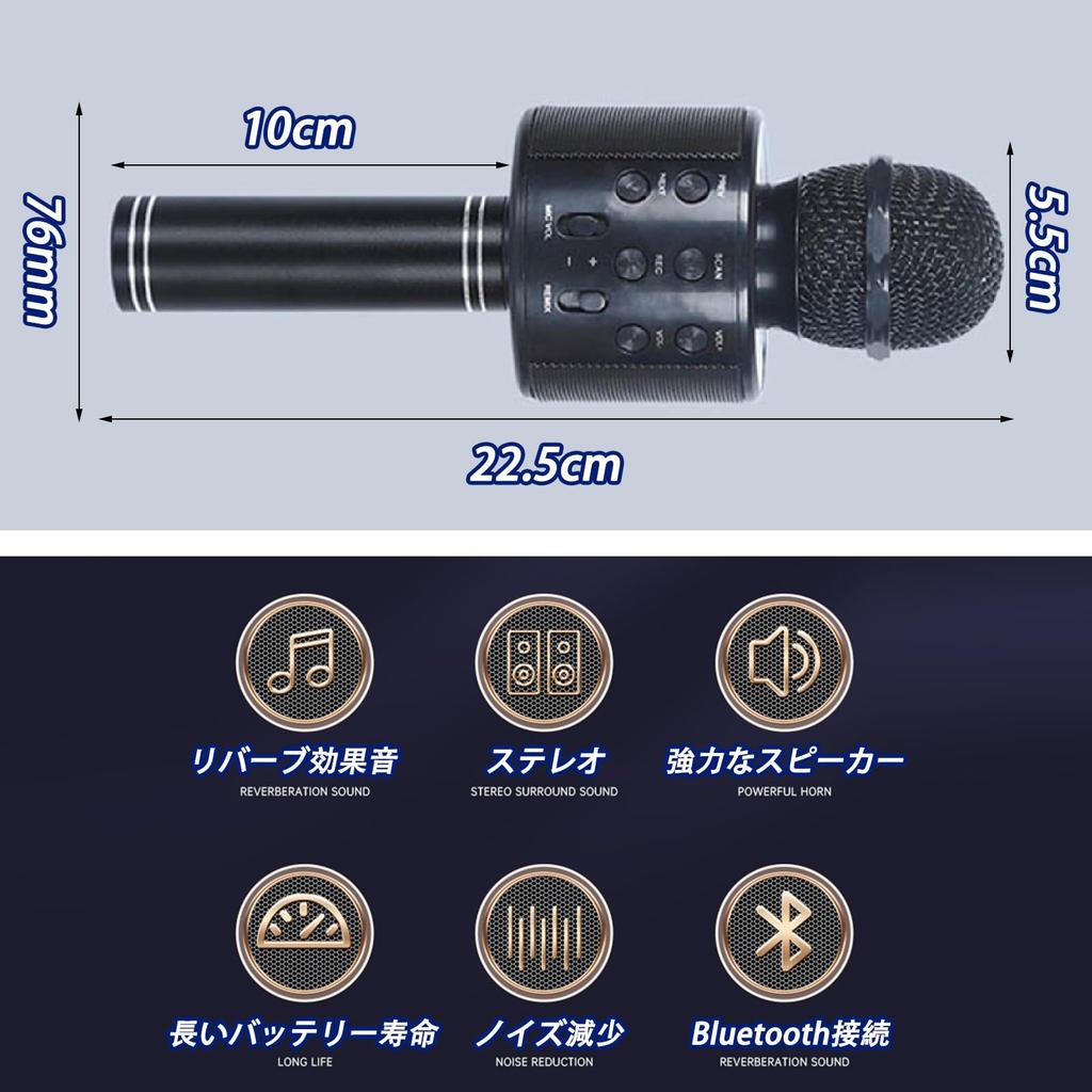 JSS EVN Karaoke Microphone System Handheld USB Rechargeable Portable Speaker Silver with English Manual