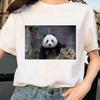 Cute Giant Panda Graphic Tshirt Wos Summer Sexy Top Casual Printed Shirt Fashionable Summer Fashion Polyester Fabric