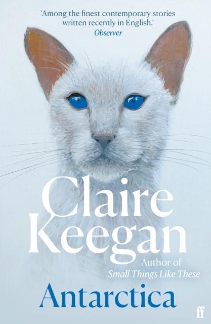 Antarctica by Claire Keegan Paperback Book 9780571382217