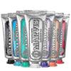2025 Mint Flavor Toothpaste 85ml Whitening and Smoke Stain Removal