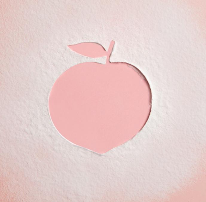 SKINFOOD Peach Cotton Multi Finish Powder White 5g / 15g – Sebum Control & Soft Matte Finish