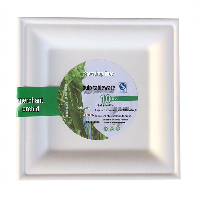 Eco-Friendly Disposable Paper Tableware 100 Pcs 16x16cm (6-inch)