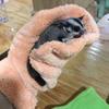 Velvet Anti Scratch Handling Gloves Soft Pets Calming Sleeping Gloves  Guinea Pigs