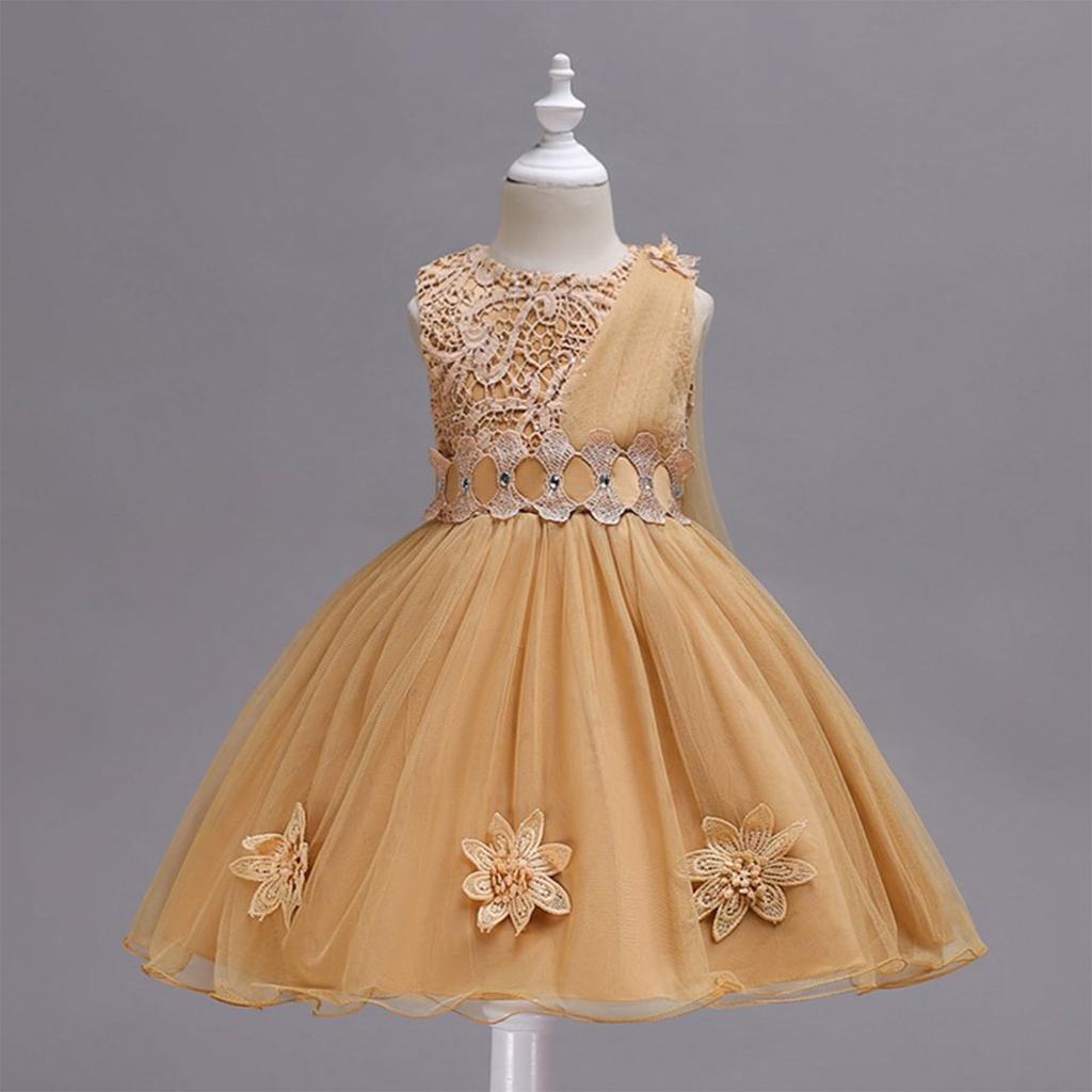 Toddler Kid Girl Lace Sleeveless Princess Gown Party Tulle Dress Cosplay Clothes