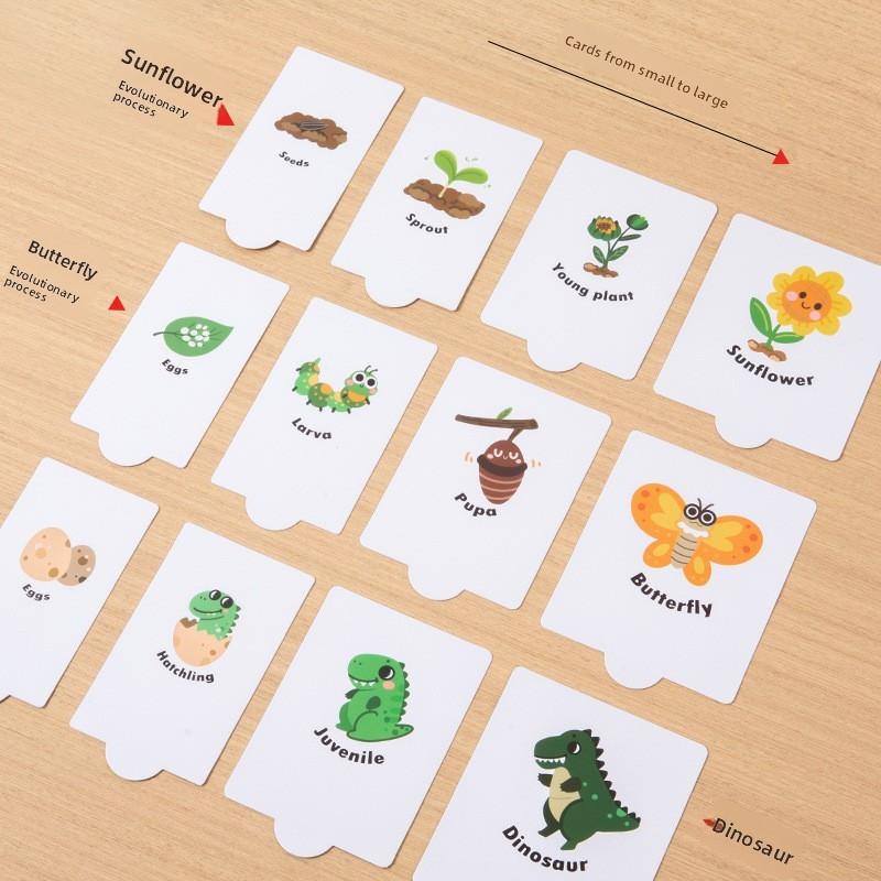 Growth Cycle Montessori Puzzle Wooden Educational Toy For Preschool Learning