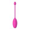 Vibrator for Women APP Wireless Bluetooth G-Spot Vaginal Stimulator Anal Vibrating Egg Massager Wearable Stimulator Sex Toys