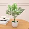 Useful Artificial Green Plant No Water Need Eco-friendly Decorative