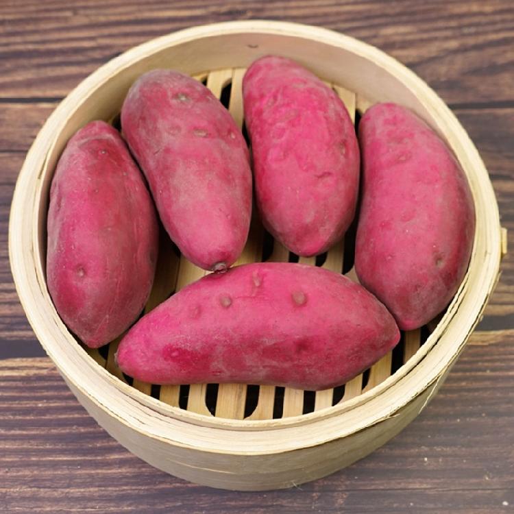 Artificial Fake Sweet Potato Decorative Vegetables Sample Props Window Display