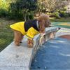 Cozy Autumn/Winter Thickened Teddy Corgi Dog Ski Suit