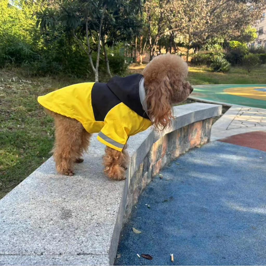 Cozy Autumn/Winter Thickened Teddy Corgi Dog Ski Suit