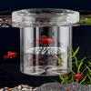 Züchterbox Für Aquarium Netz-Zuchtbox Für Aquarium Aufzucht-Trennbehälter Brutkasten Inkubator Für Betta Guppy Skalar