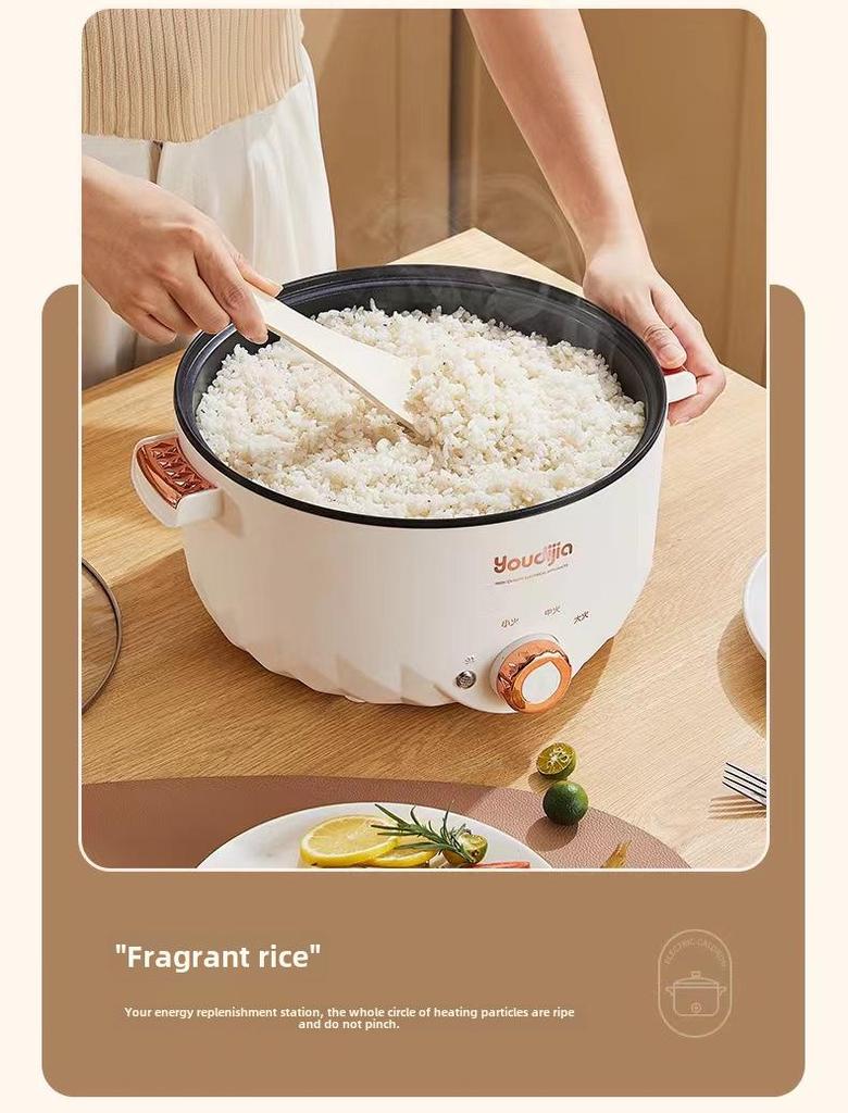 110V Multifunktions-Elektrokocher für den Heim- und Wohnheimgebrauch in Hongkong, Japan, Taiwan, USA und Südkorea