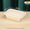 Shixun Compostable Corn Starch Food Containers