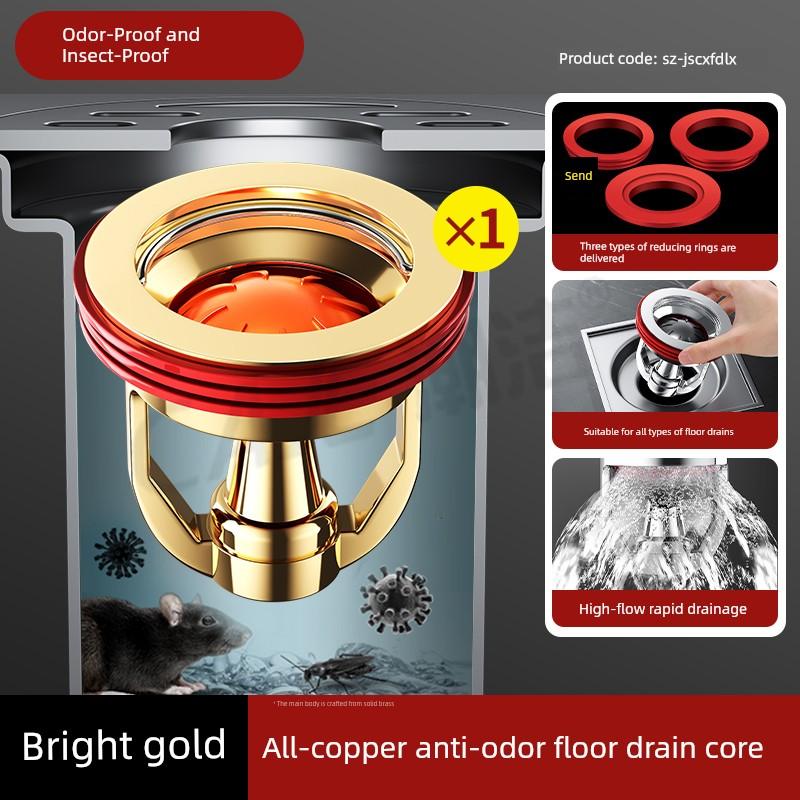 More Than German Cat Magnetic Suspension Floor Drain Odor Preventer Copper Bathroom Sewer Anti-Return Inner Core Sewer Check Valve
