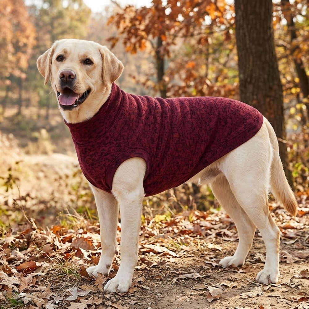 High Neck Dog Winter Turtleneck Sweater Stretchy Pet Home Apparel Dog Sleeveless Outfit Daily Play