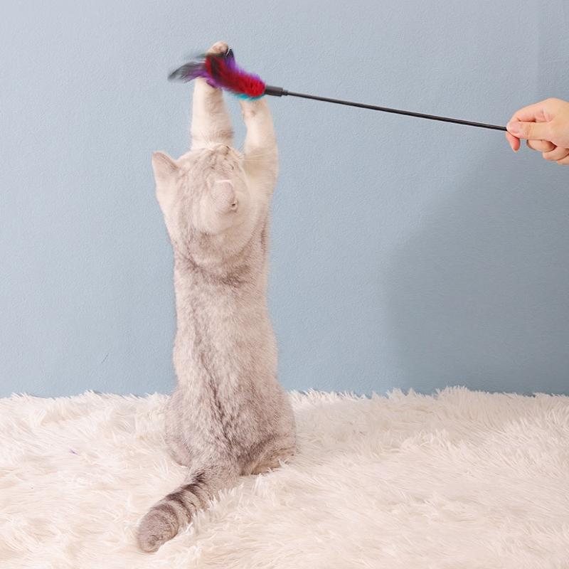 Interactive Cat Feather Toy 5pcs Set Wand With Bell Colorful Chicken Feather Stick For Pet Exercise Entertainment