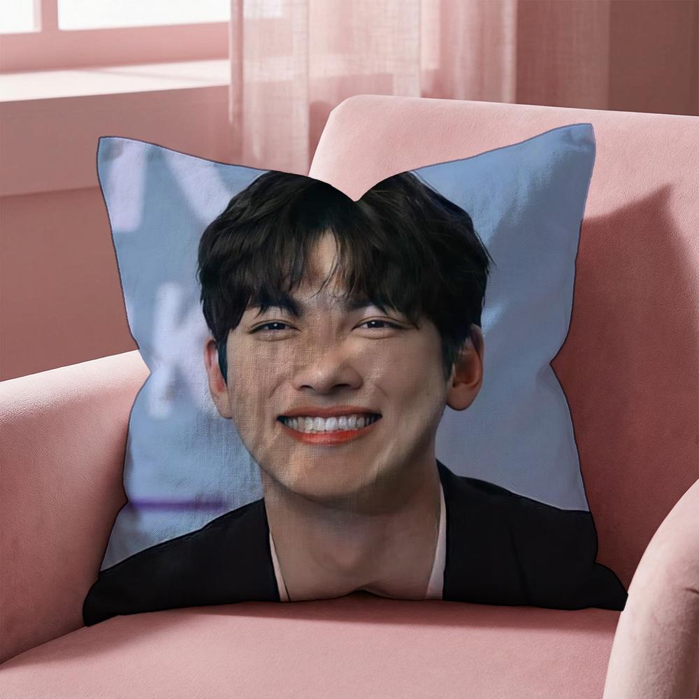 J-Ji C-Chang Wook Cushion Cover Multi-Scene Pillow Cover for Home & Car - Reversible, Soft & Durable for Daily Use