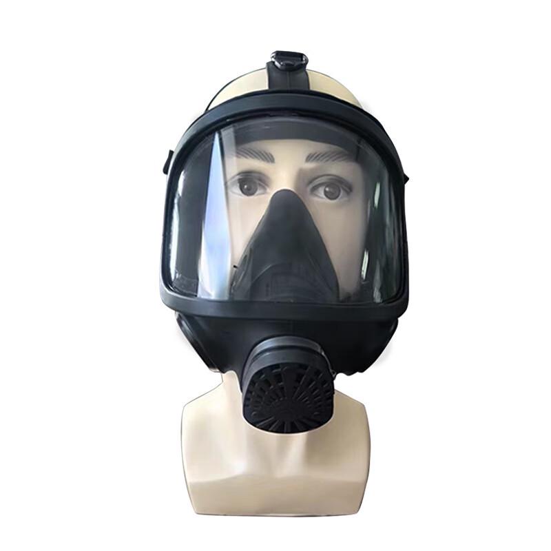 Longchan MF15A Full Face Gas Mask with Filter