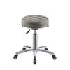 Adjustable Swivel Stool with Backrest and Casters