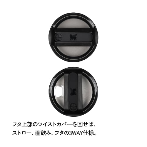 STANLEY H2.0 Vacuum Quencher, 0.6L, Black, 600ml, Insulated, Durable, with Straw, Perfect for Summer, Outdoor Activities, Dishwasher Safe, Warranty In