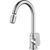 TLXT Stainless Steel Kitchen Sink Faucet with Large Arc