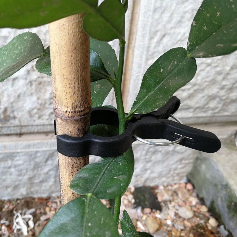Reusable Garden Plant Fixed Clips for Greenhous Vegetables Flowers Stem Vines Grape Clamp Support Fastener Tools