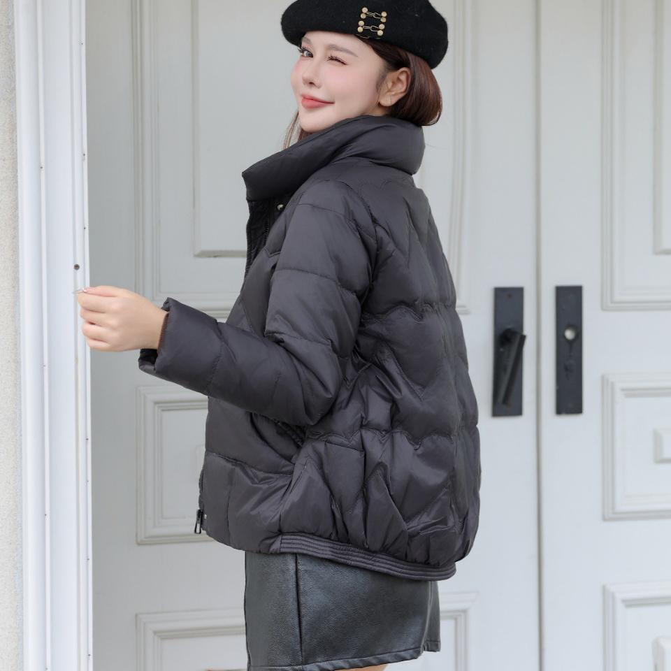 Daunenjacke Damen Kurzstil 2024 Neu Winter Stehkragen Warm Weiße Entendaunen