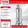 Stainless Steel Household Submersible Clean Water Pump