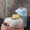 Artistic Hedgehog Resin Casting Mold Artistic Silicone Molds for Resin Casting Hedgehog Candle Holder Decoration
