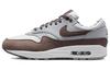 Air Max 1 'Shima Shima' FB8916-100