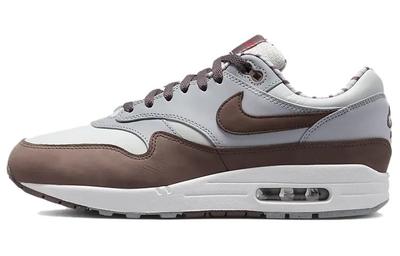 Air Max 1 'Shima Shima' FB8916-100