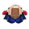 Big Tong, The Boxer, Transforms Into A Boxing Champion In A Dog Costume, A Standing Dog Costume, A Cat Costume, and A Funny Pet Costume