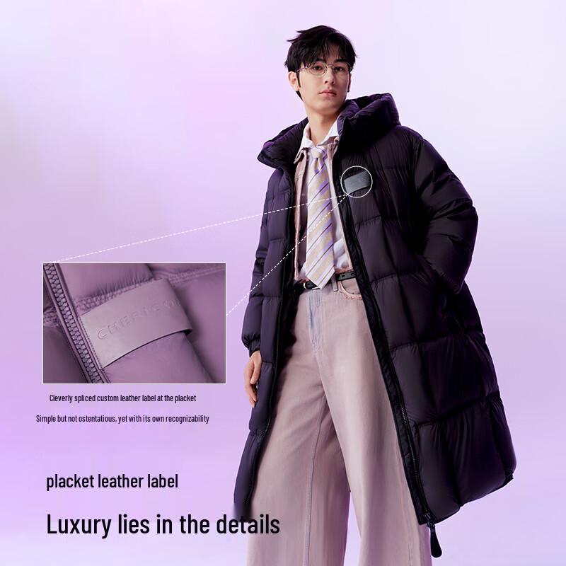 Qianrengang Unisex Goose Down Winter Jacket Y318179Y