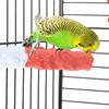 Premium Calcium Infused Bird Perch for Parrots Standing Rest Chewing Grinding Activity Center Boredom Relief Pet Bird