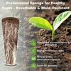 50Pcs Seed Grow Sponges Replacement Root Growth Pods Hydroponic Seedling Starter Plugs For AeroGarden Indoor Garden Planting