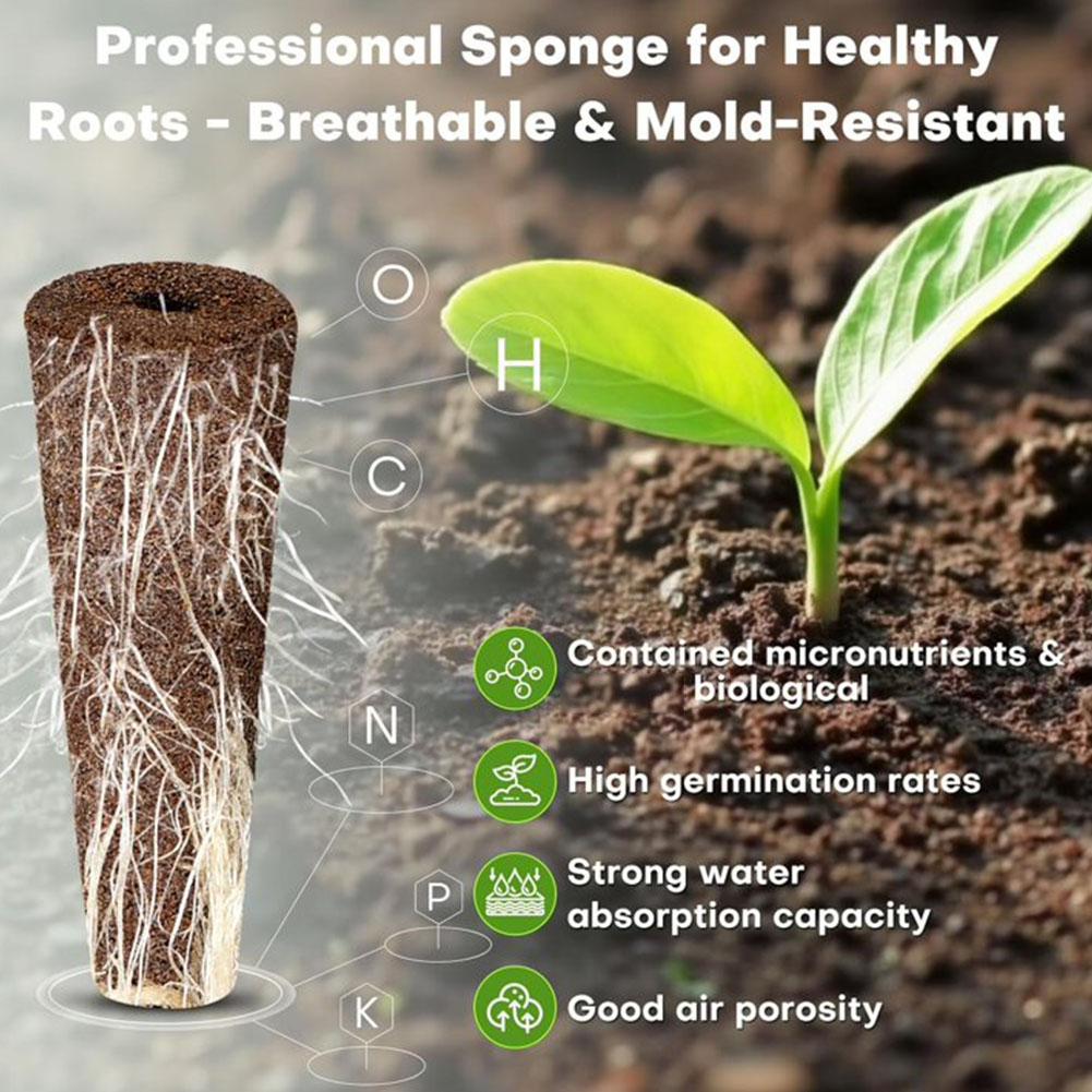 50Pcs Seed Grow Sponges Replacement Root Growth Pods Hydroponic Seedling Starter Plugs For AeroGarden Indoor Garden Planting