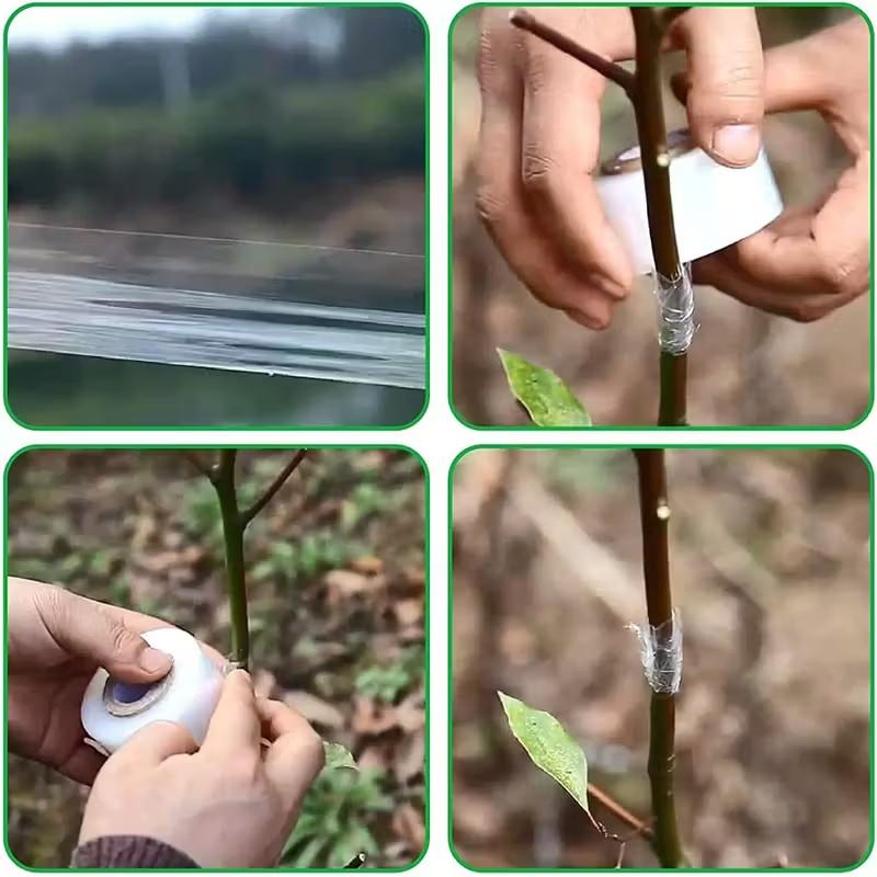 PE Grafting Tape Film Self-adhesive Garden Tree Plants Seedlings Vine Tomato Grafting Accessories Stretchable 3cm Width