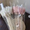 30 ks Barevné Králičí Ocasy Sušené Květiny Literární Styl Květinová Aranžmá Přírodní Kytice Králičích Ocasů Pro Večírek Domácí Dekoraci