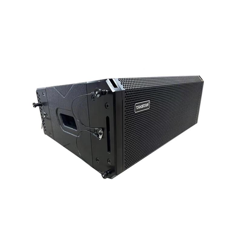 TAKSTAR ELA-082 8-inch Linear Array Full-Range Stage Speaker