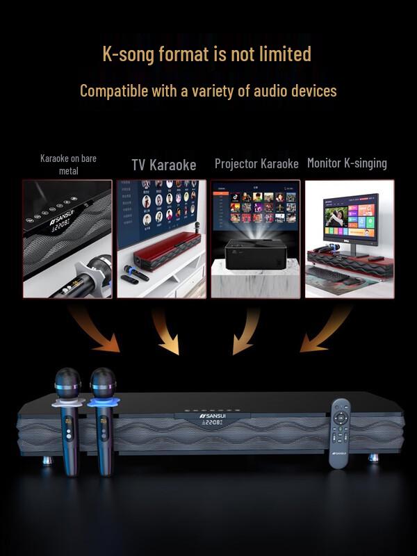 Shanshui P200 Home KTV Audio System