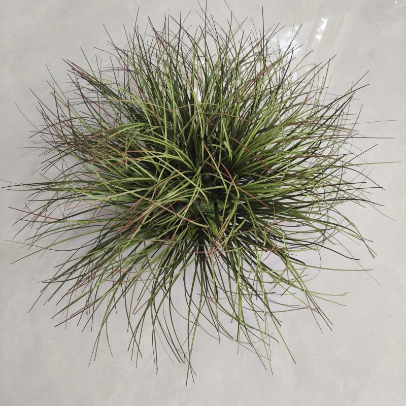 Artificial Grass Ball Ornament for Indoor Landscaping and Photography 