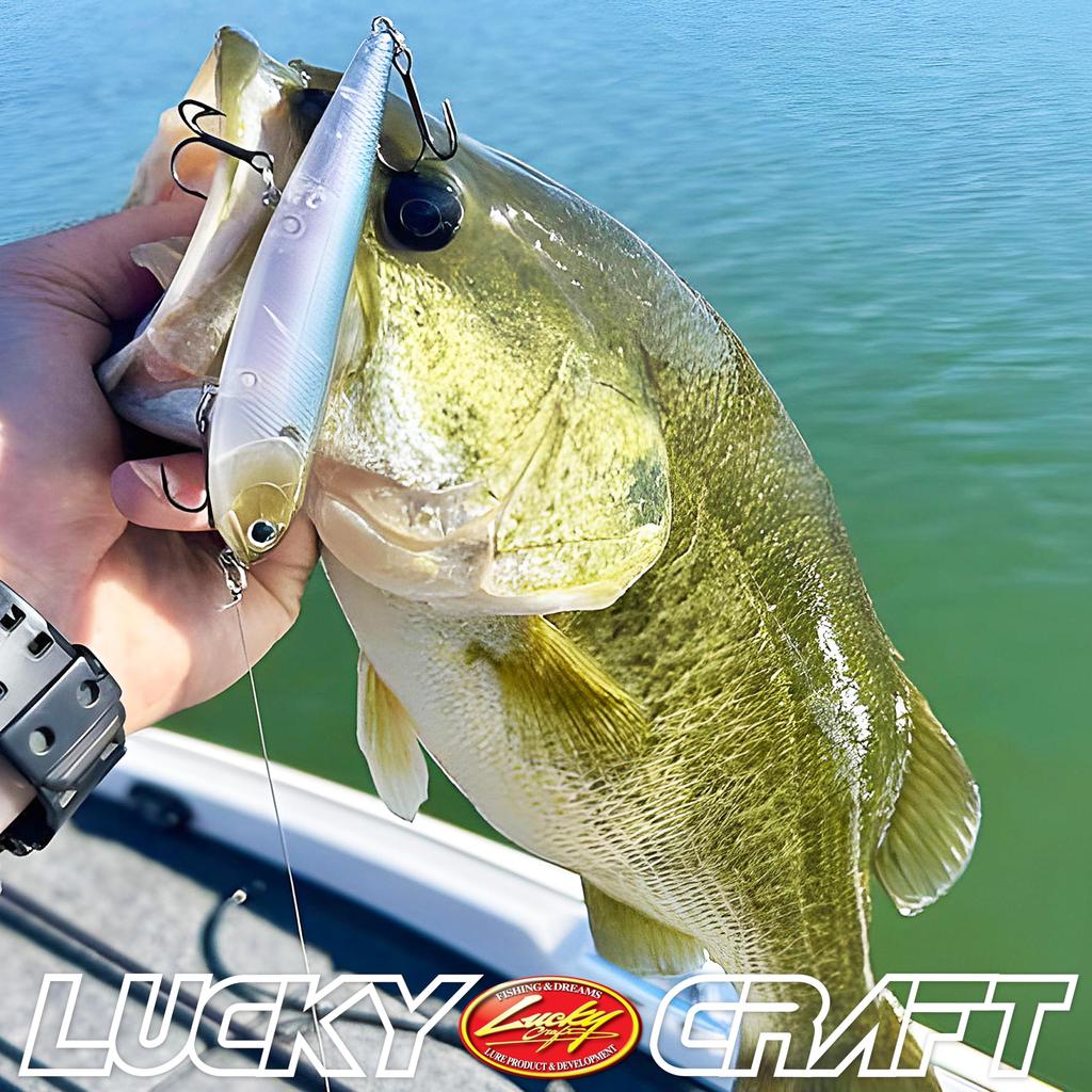 Lucky Craft USA Sammy 105 Sexy (335 Mama)