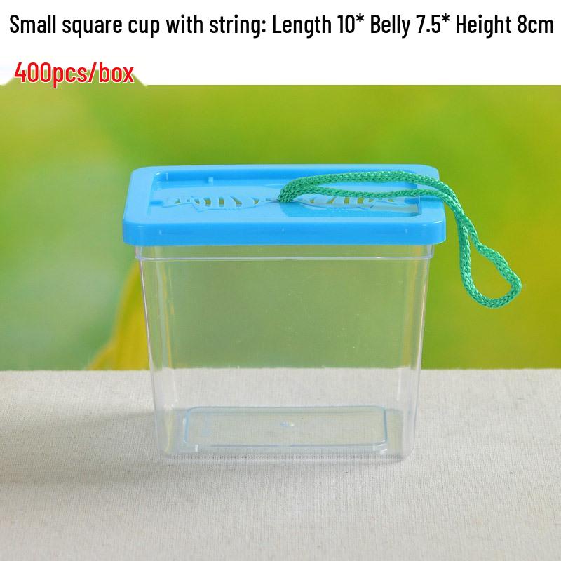 Children's Portable Transparent Pet Transport Box: Small to Large Fish/Turtle Tank