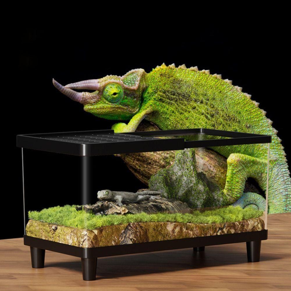 Transparent Lizard Breeding Box Breathable Insect Observation Box Reptile Terrarium  Amphibians