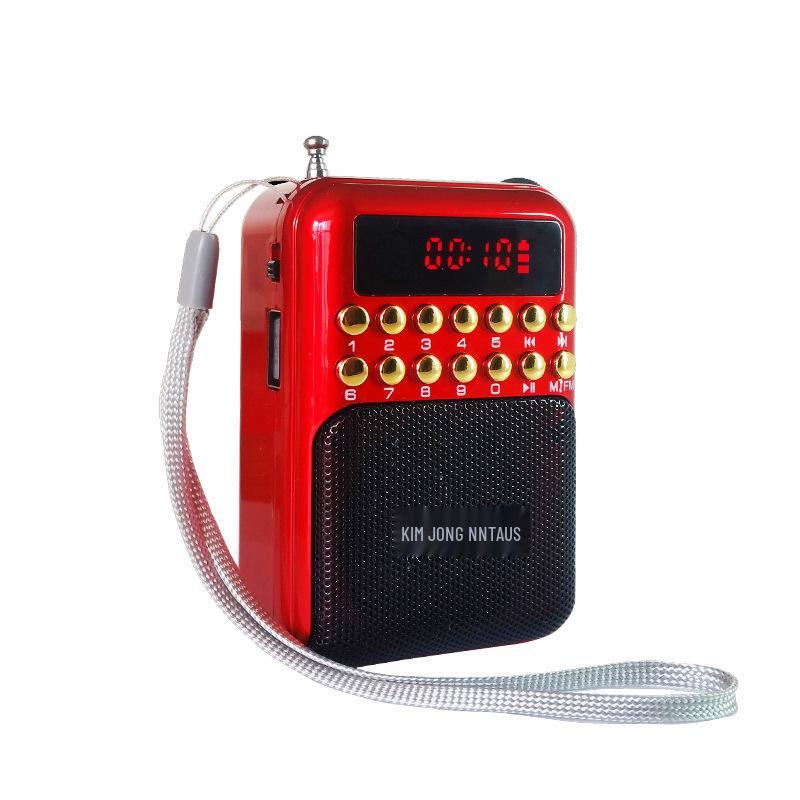 Jinzheng S61 Portable FM Radio & Speaker with Card-Playing Function for High Volume Audio