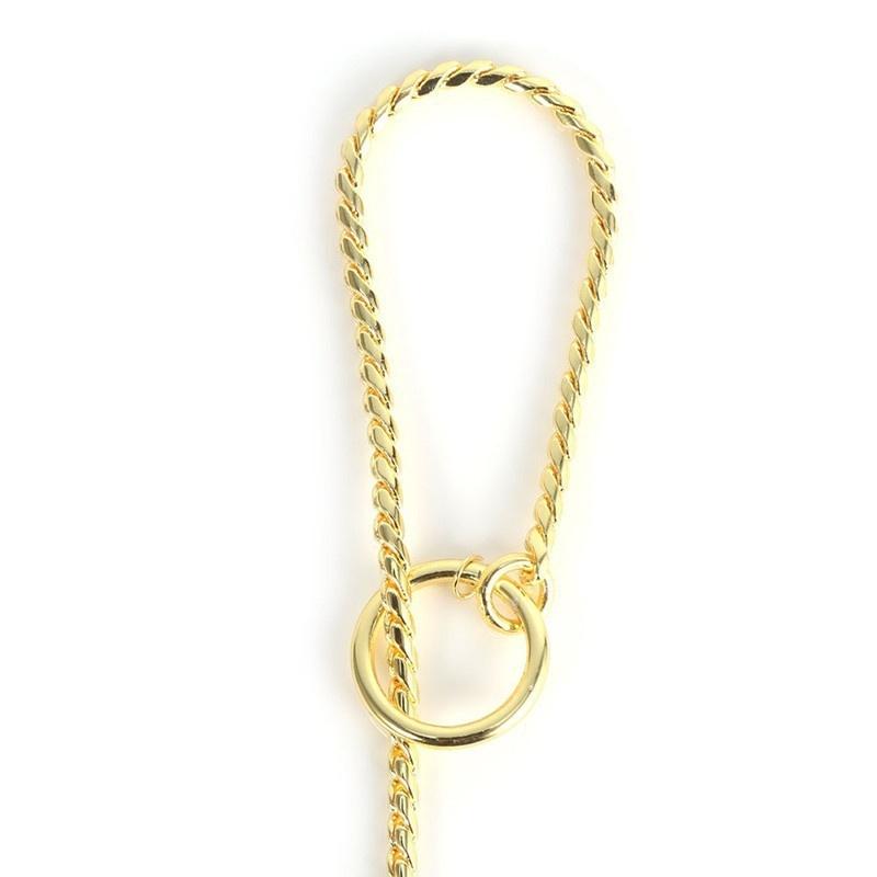 Snake Chain Dog Puppy Show Collars Decoration Metal Training P Choke Collar Gold