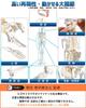 KIYOMARU Realistic and Reproducible Size Full Body Skeleton Human Body Bone Supervised by a Physical Approximately Skeletal Skeleton Movable Large
